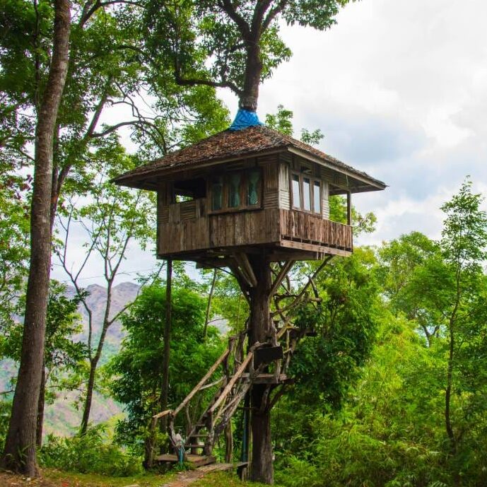 Cabane en bois perchée dans les arbres - réserver un hébergement insolite