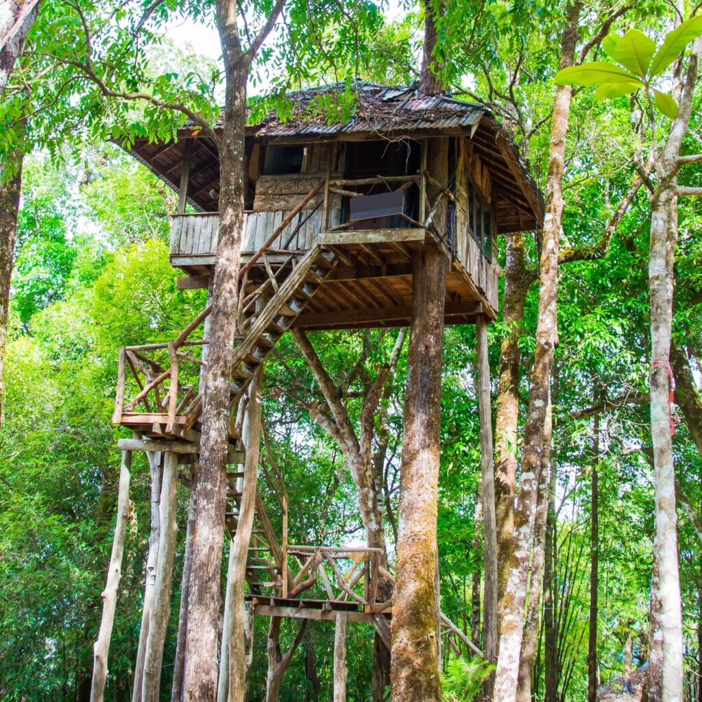 Cabane perchée dans les arbres avec un escalier en bois