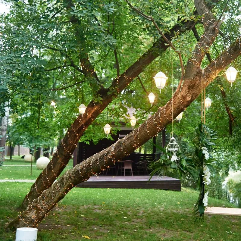 Guirlandes lumineuses dans un arbre - Réserver un hébergement insolite